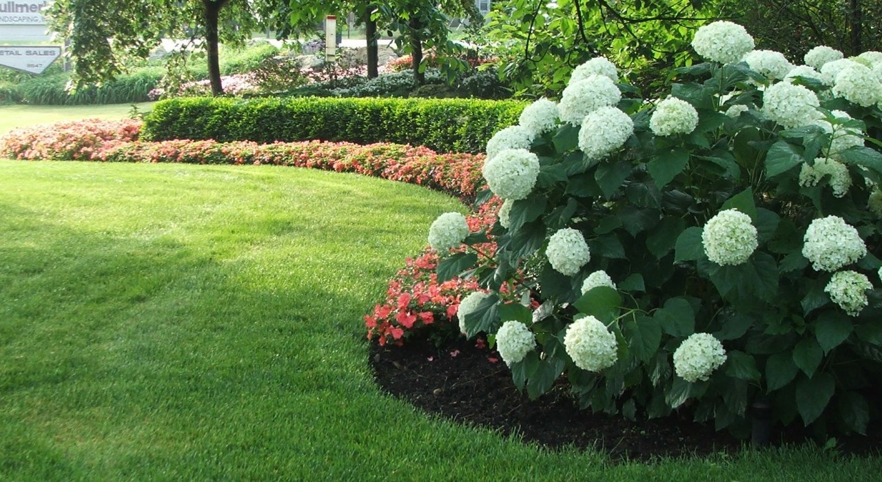 Three Steps to a Well-Manicured Lawn